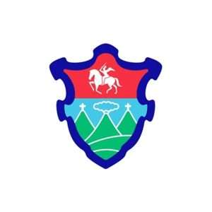 Boleto De Ornato